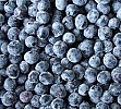 Organic Blueberries frozen 250g