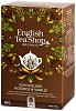 ETS šokolaadi Rooibos & Vanilla Mahe Tee 20pakk x6